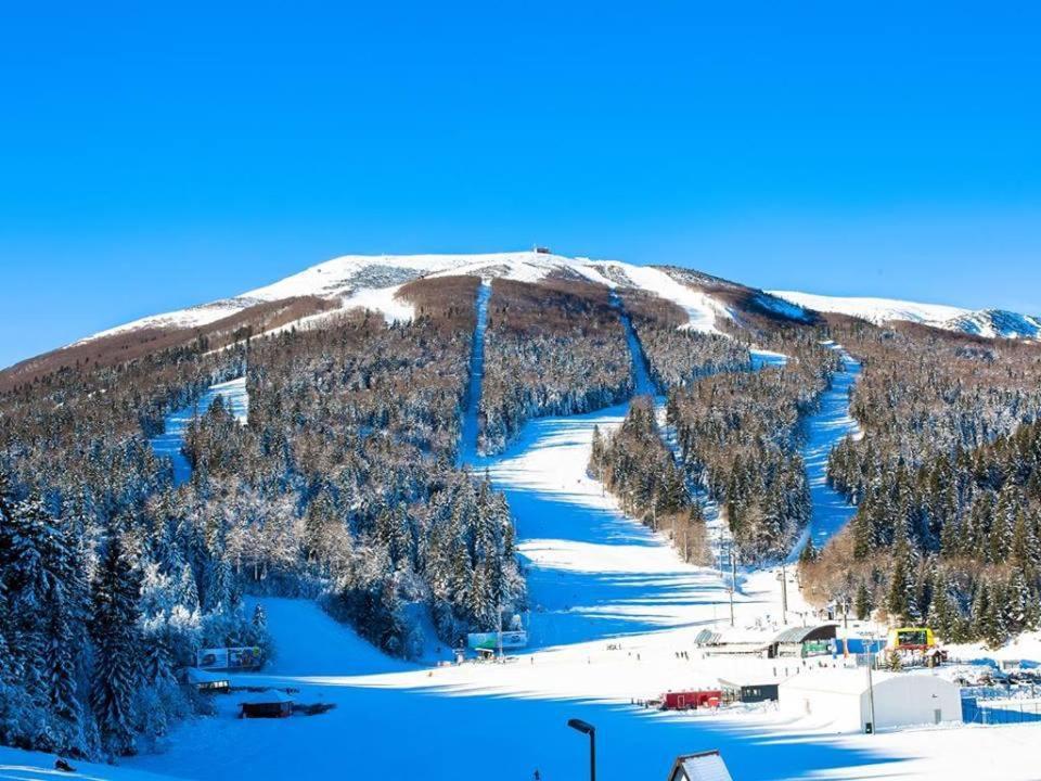 Forest Soul Deluxe Apartments Bjelašnica Buitenkant foto